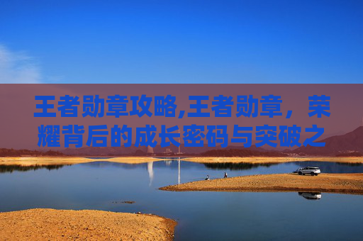 王者勋章攻略,王者勋章，荣耀背后的成长密码与突破之道