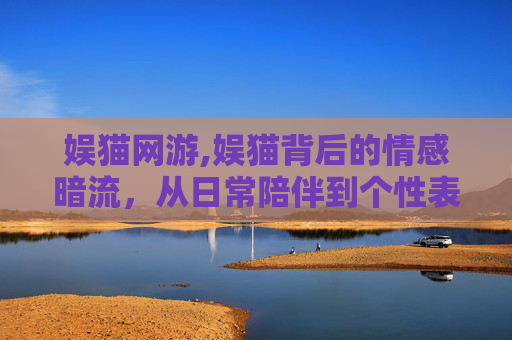 娱猫网游,娱猫背后的情感暗流，从日常陪伴到个性表达的深度解析