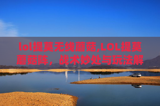 lol提莫无线蘑菇,LOL提莫蘑菇阵，战术妙处与玩法解析，解锁团战制胜关键