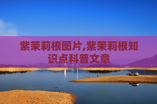 紫茉莉根图片,紫茉莉根知识点科普文章 紫茉莉根图片,紫茉莉根知识点科普文章
