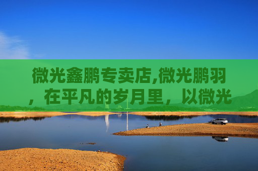 微光鑫鹏专卖店,微光鹏羽，在平凡的岁月里，以微光汇聚成飞驰的力量