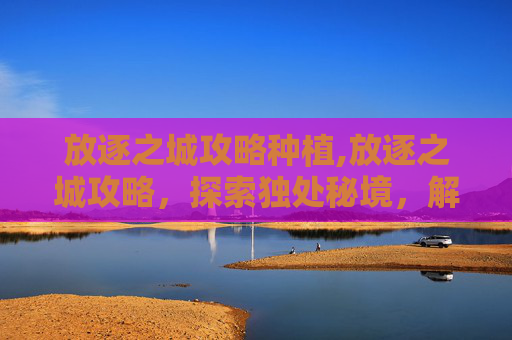 放逐之城攻略种植,放逐之城攻略，探索独处秘境，解锁心灵治愈之旅