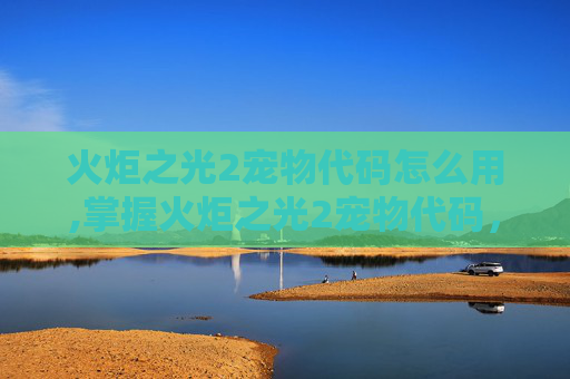 火炬之光2宠物代码怎么用,掌握火炬之光2宠物代码,让你的冒险之旅更加精彩 火炬之光2宠物代码怎么用,掌握火炬之光2宠物代码,让你的冒险之旅更加精彩