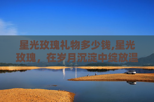 星光玫瑰礼物多少钱,星光玫瑰,在岁月沉淀中绽放温柔力量,书写不凡人生轨迹 星光玫瑰礼物多少钱,星光玫瑰,在岁月沉淀中绽放温柔力量,书写不凡人生轨迹