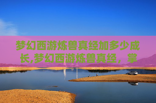 梦幻西游炼兽真经加多少成长,梦幻西游炼兽真经，掌握技巧，成为宠物大师