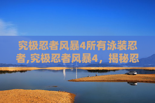 究极忍者风暴4所有泳装忍者,究极忍者风暴4，揭秘忍者世界的终极对决