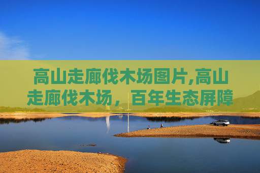 高山走廊伐木场图片,高山走廊伐木场，百年生态屏障与时代变迁的交织思考
