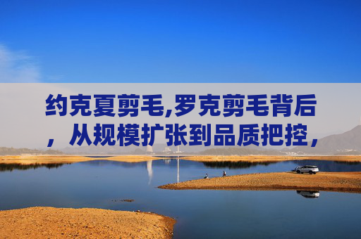 约克夏剪毛,罗克剪毛背后，从规模扩张到品质把控，新场景下的合规化演变解析