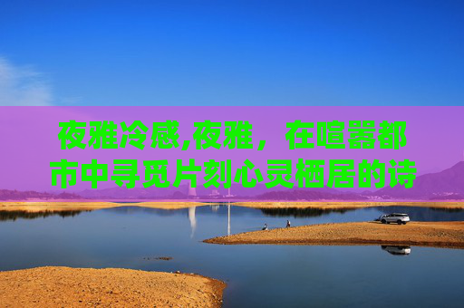 夜雅冷感,夜雅，在喧嚣都市中寻觅片刻心灵栖居的诗意秘境