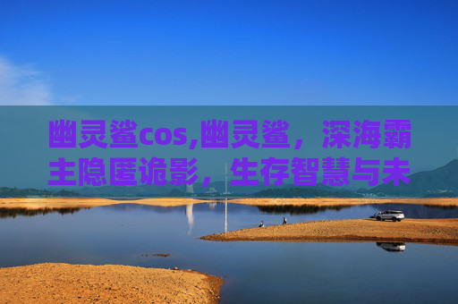 幽灵鲨cos,幽灵鲨，深海霸主隐匿诡影，生存智慧与未知挑战共绘海洋生物传奇