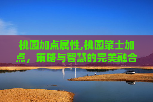 桃园加点属性,桃园策士加点,策略与智慧的完美融合 桃园加点属性,桃园策士加点,策略与智慧的完美融合