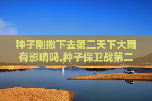 种子刚撒下去第二天下大雨有影响吗,种子保卫战第二天，多维对抗，重塑种子生态新格局
