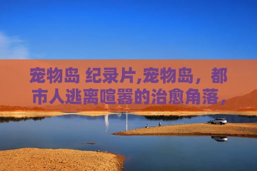 宠物岛 纪录片,宠物岛，都市人逃离喧嚣的治愈角落，给毛孩子一个专属温暖天地