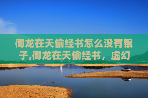 御龙在天偷经书怎么没有银子,御龙在天偷经书，虚幻冒险背后的警示与反思