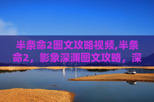 半条命2图文攻略视频,半条命2，影象深渊图文攻略，深入探索与技巧指南
