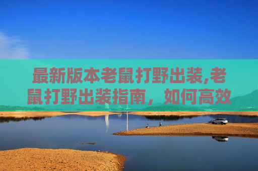最新版本老鼠打野出装,老鼠打野出装指南，如何高效利用野区资源