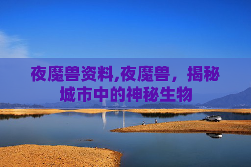 夜魔兽资料,夜魔兽，揭秘城市中的神秘生物