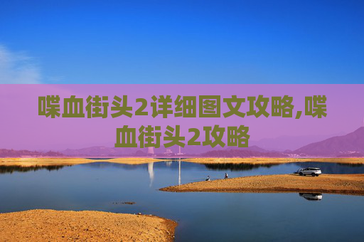 喋血街头2详细图文攻略,喋血街头2攻略
