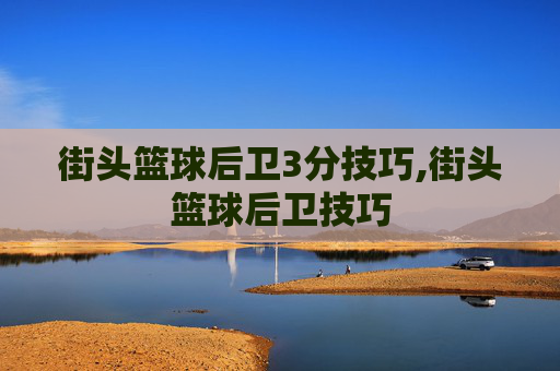 街头篮球后卫3分技巧,街头篮球后卫技巧