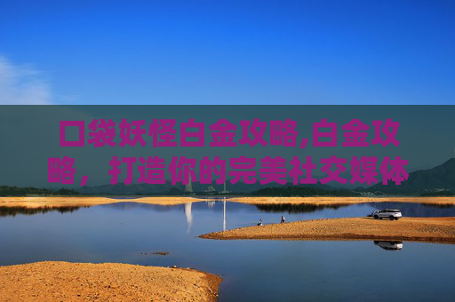 口袋妖怪白金攻略,白金攻略，打造你的完美社交媒体形象
