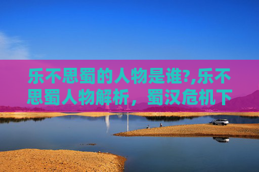 乐不思蜀的人物是谁?,乐不思蜀人物解析，蜀汉危机下的生存智慧与现实启示