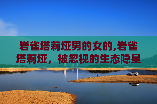 岩雀塔莉垭男的女的,岩雀塔莉垭,被忽视的生态隐星,折射自然演化的精妙密码 岩雀塔莉垭男的女的,岩雀塔莉垭,被忽视的生态隐星,折射自然演化的精妙密码