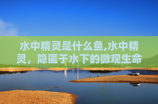 水中精灵是什么鱼,水中精灵,隐匿于水下的微观生命,释放多元共生与生态启示 水中精灵是什么鱼,水中精灵,隐匿于水下的微观生命,释放多元共生与生态启示