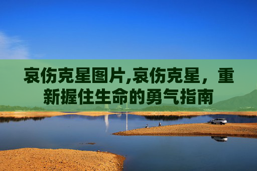 哀伤克星图片,哀伤克星，重新握住生命的勇气指南