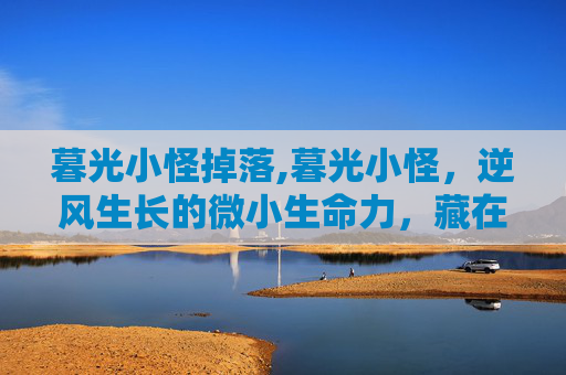 暮光小怪掉落,暮光小怪，逆风生长的微小生命力，藏在每个被忽略的光亮里