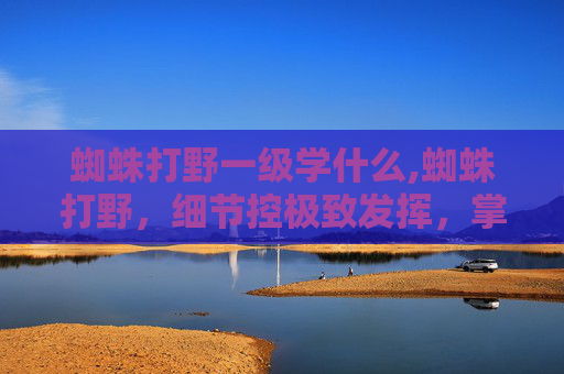 蜘蛛打野一级学什么,蜘蛛打野，细节控极致发挥，掌控野区节奏的进阶玩法解析