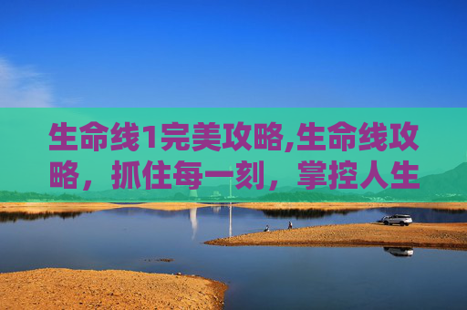生命线1完美攻略,生命线攻略，抓住每一刻，掌控人生方向的核心指南