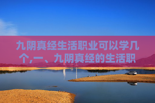 九阴真经生活职业可以学几个,一、九阴真经的生活职业概述