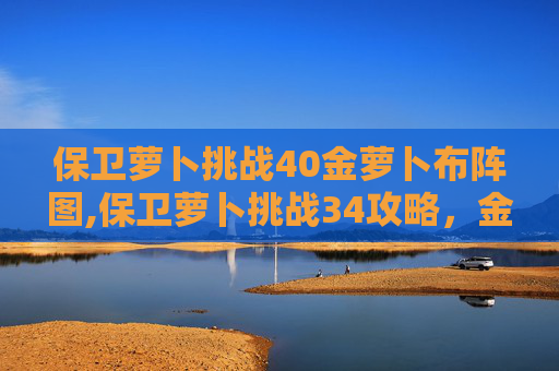 保卫萝卜挑战40金萝卜布阵图,保卫萝卜挑战34攻略，金萝卜布阵图全解析，轻松通关）