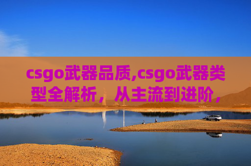 csgo武器品质,csgo武器类型全解析,从主流到进阶,玩转战场核心要素 csgo武器品质,csgo武器类型全解析,从主流到进阶,玩转战场核心要素