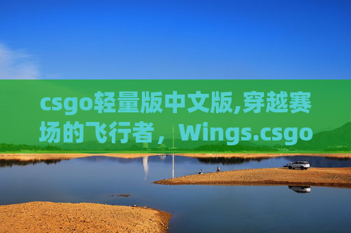 csgo轻量版中文版,穿越赛场的飞行者,Wings.csgo全维度解析与实战指南 csgo轻量版中文版,穿越赛场的飞行者,Wings.csgo全维度解析与实战指南