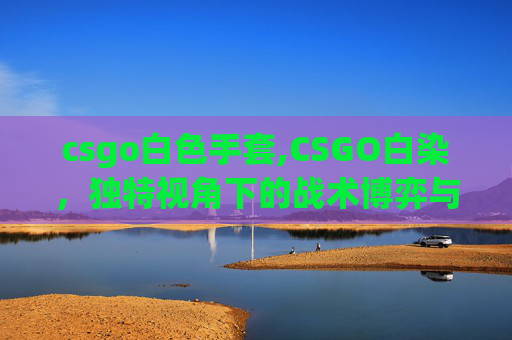 csgo白色手套,CSGO白染，独特视角下的战术博弈与战场解析