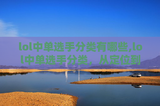 lol中单选手分类有哪些,lol中单选手分类,从定位到风格的全方位深度解析 lol中单选手分类有哪些,lol中单选手分类,从定位到风格的全方位深度解析