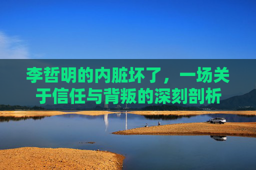 李哲明的内脏坏了，一场关于信任与背叛的深刻剖析