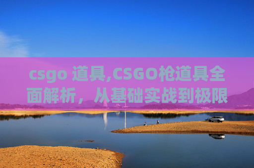 csgo 道具,CSGO枪道具全面解析,从基础实战到极限博弈的全方位指南 csgo 道具,CSGO枪道具全面解析,从基础实战到极限博弈的全方位指南