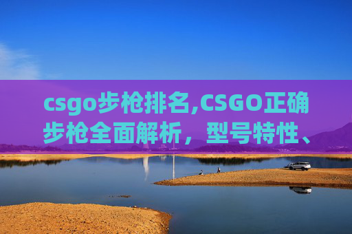 csgo步枪排名,CSGO正确步枪全面解析,型号特性、使用技巧与实战价值深度探讨 csgo步枪排名,CSGO正确步枪全面解析,型号特性、使用技巧与实战价值深度探讨
