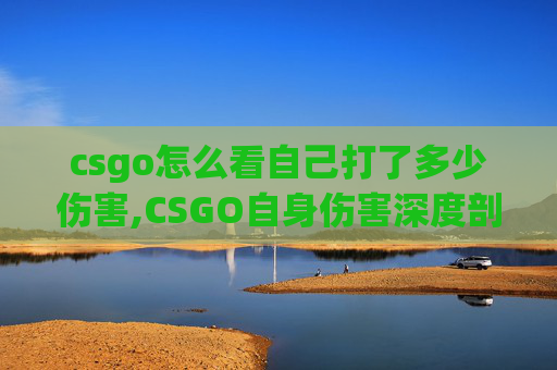 csgo怎么看自己打了多少伤害,CSGO自身伤害深度剖析,从机制到问题,全面解读对玩家体验的冲击 csgo怎么看自己打了多少伤害,CSGO自身伤害深度剖析,从机制到问题,全面解读对玩家体验的冲击