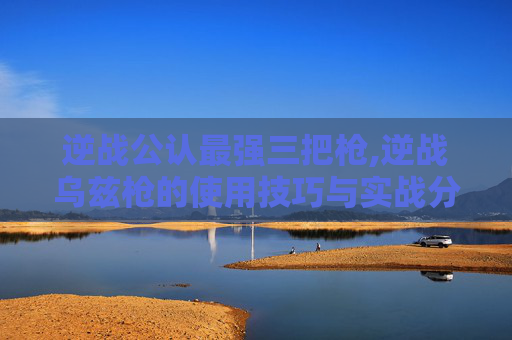 逆战公认最强三把枪,逆战乌兹枪的使用技巧与实战分析，从性能特点到适用场景，带你全面掌握这一新兴枪械的玩法