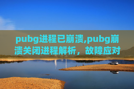 pubg进程已崩溃,pubg崩溃关闭进程解析，故障应对与系统优化策略全指南