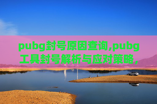 pubg封号原因查询,pubg工具封号解析与应对策略，避坑指南与安全指南