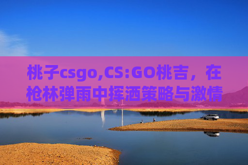 桃子csgo,CS:GO桃吉,在枪林弹雨中挥洒策略与激情的竞技新视角 桃子csgo,CS:GO桃吉,在枪林弹雨中挥洒策略与激情的竞技新视角