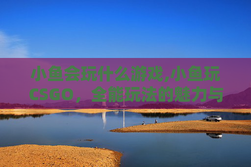 小鱼会玩什么游戏,小鱼玩CSGO,全能玩法的魅力与实战攻略全解析 小鱼会玩什么游戏,小鱼玩CSGO,全能玩法的魅力与实战攻略全解析