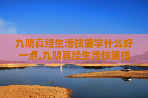 九阴真经生活技能学什么好一点,九阴真经生活技能指南，如何高效学习与应用？