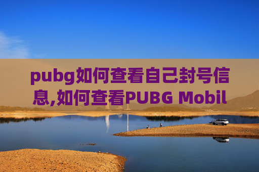 pubg如何查看自己封号信息,如何查看PUBG Mobile封号记录,明确规则、规避风险、保障账号安全 pubg如何查看自己封号信息,如何查看PUBG Mobile封号记录,明确规则、规避风险、保障账号安全