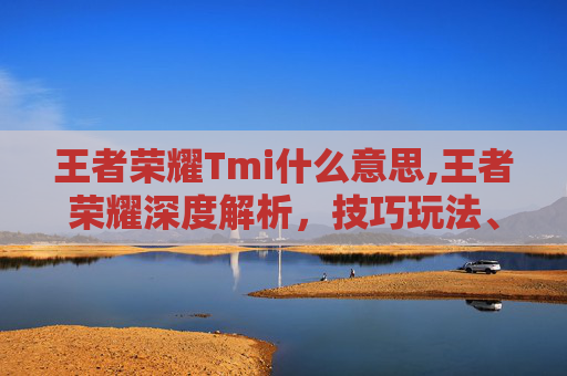 王者荣耀Tmi什么意思,王者荣耀深度解析，技巧玩法、场景适配与版本突破全方位指南