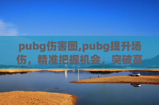 pubg伤害图,pubg提升场伤，精准把握机会，突破高难局拿下高分战绩